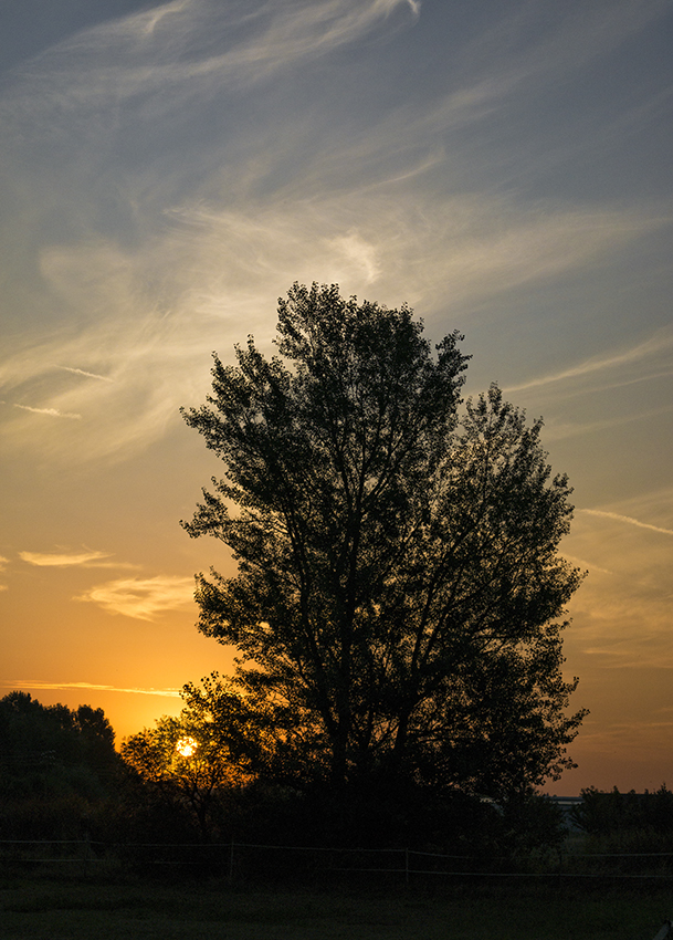 Bayern 08 - 2016_SAM0129-1 Kopie.jpg - Zwischenstopp in Coburg - Morgenstimmung in der nähe vom Stellplatz